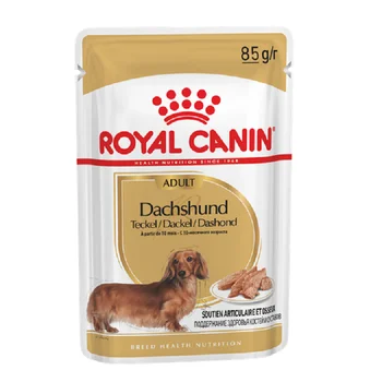 

Royal Canin Teckel Alimento para Perros de Raza Teckel Adulto 12 x 85 Gramos