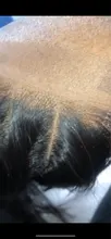 Alisky-extensiones de pelo brasileñas con encaje hd, accesorio capilar liso con cierre Frontal de malla, 4x4