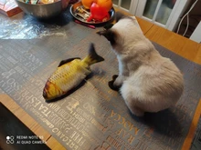 Pet-Cat-Toy Simulation-Fish-Toys Cat-Supplies Catnip Electronic Playing Dog-Cat-Chewing
