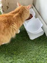 Cuenco de alimentación antideslizante para mascotas, plato con soporte para agua y productos de comida de los animales, ideal para uso de perros y gatos del hogar