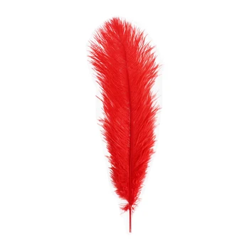 

Ht108a72 ostrich feather 50 cm, Astra (1 pcs/pack) (29 Red)