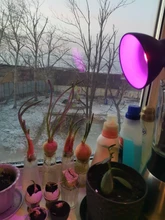 Grow-Lamp Lights-Plants E27-Hydroponic-System Indoor-Lighting 80leds Full-Spectrum 220V