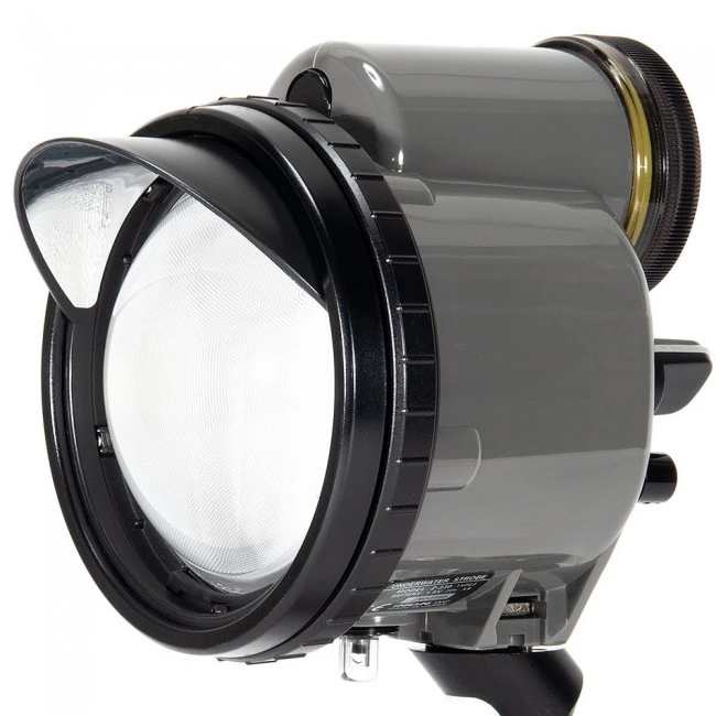 ヒマヒト　ストロボ　INON 31HpJxragFS._UF350,350_QL80_.jpg