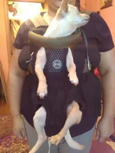 Backpack Carrier Cat-Accessories Front-Chest-Holder Chihuahua Puppy Large-Bags Pet-Dog