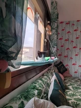 Cama que cuelga de la ventana para mascotas, 20kg, hamaca para gato y mascota, asiento tipo estante