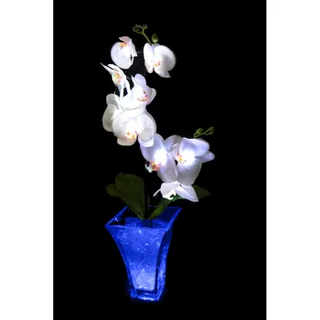 

Lamp orchid White (blue) 9 flowers