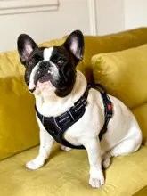 Vest Harness Pet-Dog No-Pull SUPREPET Nylon Adjustable for Large Medium