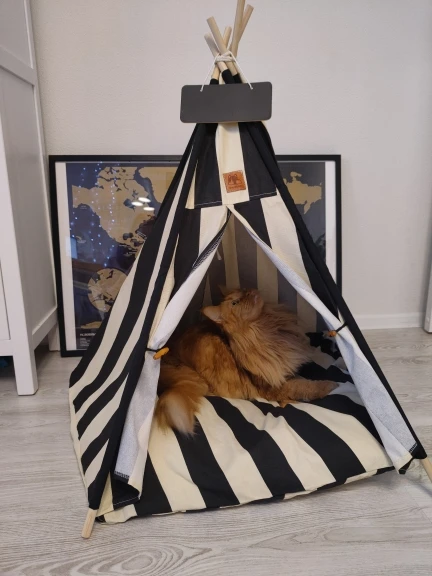 Teepee Dog Bed | Puppy Teepee | Teepee Dog House | Dog Teepee with Cushion photo review
