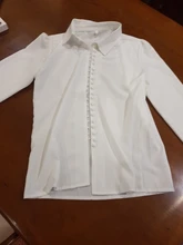 Blusa de manga larga con botones lisos para Primavera, camisa blanca de oficina para mujer, a la moda