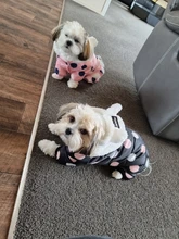 Dog Overalls Clothing Puppy Winter Coat Hoodie Pet-Dog Cotton Thicken Dot for Small Big-Polka-Dot