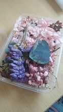 35 PCS/BAG Crystal Epoxy Filler Dry Flower For DIY Craft Handmade Flowers Silicone Molds UV Resin Filling Material Decoration