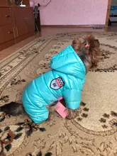 Coats Jumpsuits Overalls Yorkie-Clothing Puppy Dog-Jacket Pet-Dog Small Dogs Waterproof