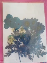 Bolsa de flores secas arte Floral molde de resina Epoxy