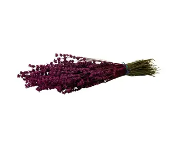 

Dry Flower Dried Lavender Damson