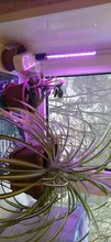 Grow-Lamp Sunlight Imitating Young-Plants Uv-Growing Full-Spectrum Indoor LED DC 5V 3W