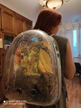 Mochila transparente para transporte de mascotas de gatos y perros, mochila para gatos, mochila para viajes al aire libre, bolsa para mascotas, transpirable, portátil, envío gratuito