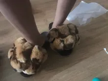Chanclas de piel con pelo para mujer, pantuflas mullidas de piel auténtica, pantuflas de zorro