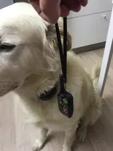 Lcd-Display Dog-Collar Electric Rechargeable for 