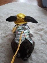 Accessory Hamster Animal-Harness Rabbit-Ferret Bunny Small Vest Leash-Set with Travel-Chest-Strap