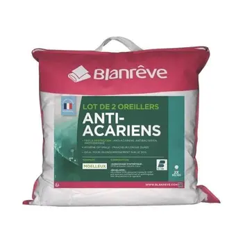

BLANREVE Set of 2 pillows threefold protection-60x60 cm-White