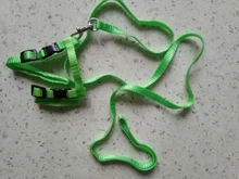 Arnés y correa para cachorros y gatitos, cinturón de tracción ajustable para animales, cuello Halter para gatos y gatitos, sin cartón