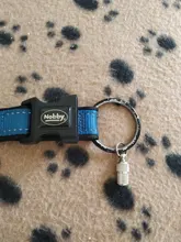 Perro Pet ID etiqueta colgante gato perro etiqueta de identificación de Metal colgante Antipérdida etiqueta cachorro gato Nombre Dirección colgante etiqueta 1 Uds