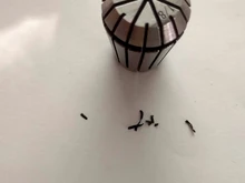 1 Uds ER20 1-13MM 1/4, 6,35, 1/8, 3.175, 1/2, 12,7 primavera Collet de pinza de precisión de máquina de grabado CNC torno herramienta de fresadora