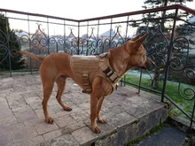 Molle Vest Panels Dog-Harness Dogs Military-Working Training Rubrab Tactical Metal 