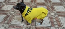 Dog Hoodies Jacket Costume Coat French Bulldog Chihuahua Winter for Pets-Clothing