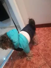 Outfit Jacket Hoodie Dog Warm Waterproof Winter Coat Splice Pet-Puppy 6-Colours 8-Sizes