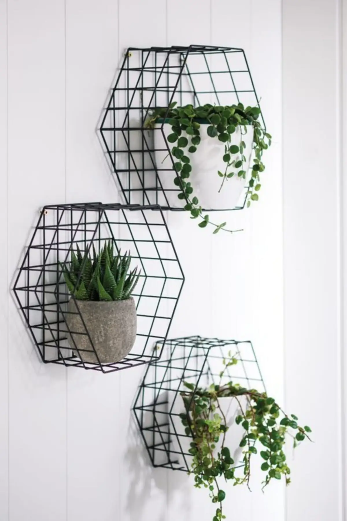 

Hexagonal Metal Wall Rack 3 'lü Çiçeklik Geometric Shape Storage Rack Wall Hanging Book Figures Flower Pots Sergileme WD251