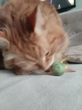 Catnip Toys Ball Cat-Toy Gato Interactive Treats Katten Pawstrip Soft 1pc Speelgoed