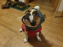 Pet-Hats Dog-Cap Dog-Accessories French Bulldog Small-Dogs Christmas Ball-Headwear Winter