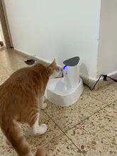 1.8L Cat Water Fountain Quiet Automatic Pet Water Dispenser For Cats Dogs Birds Electric