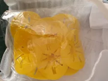 10 unids/lote Jardín de la casa de trampa de avispones Catcher avispa insectos embudo asesino reutilizable botella de plástico botella de avispa trampas