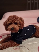 Pet-Dog-Clothes Jacket Coat Puppy Dogs Chihuahua Cotton for Warm Thick And Thin