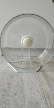 Juguete de Hamster para mascotas, rueda grande para correr, oso dorado, erizo, Fitness, 24cm, transparente