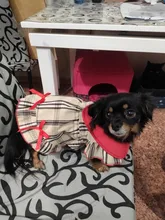 Dress Costume Dog-Puppy-Clothes PET PETCIRCLE Small Dog Classic Check Fit Pet-Cat All-Seasons