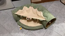 Túnel para cama de gato, tubo extraíble plegable para mascotas, juguetes interactivos con bolas de felpa para cachorros