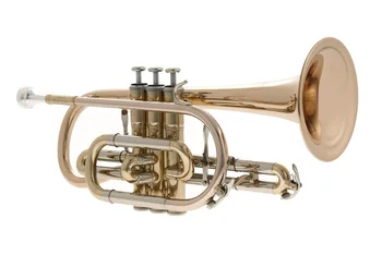

Jp271sw Cornet BB, lacquered, John Packer