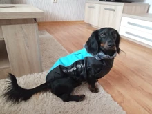 Dog Coat Harness Clothing Vest Jacket French Bulldog Waterproof Large Medium Winter Warm