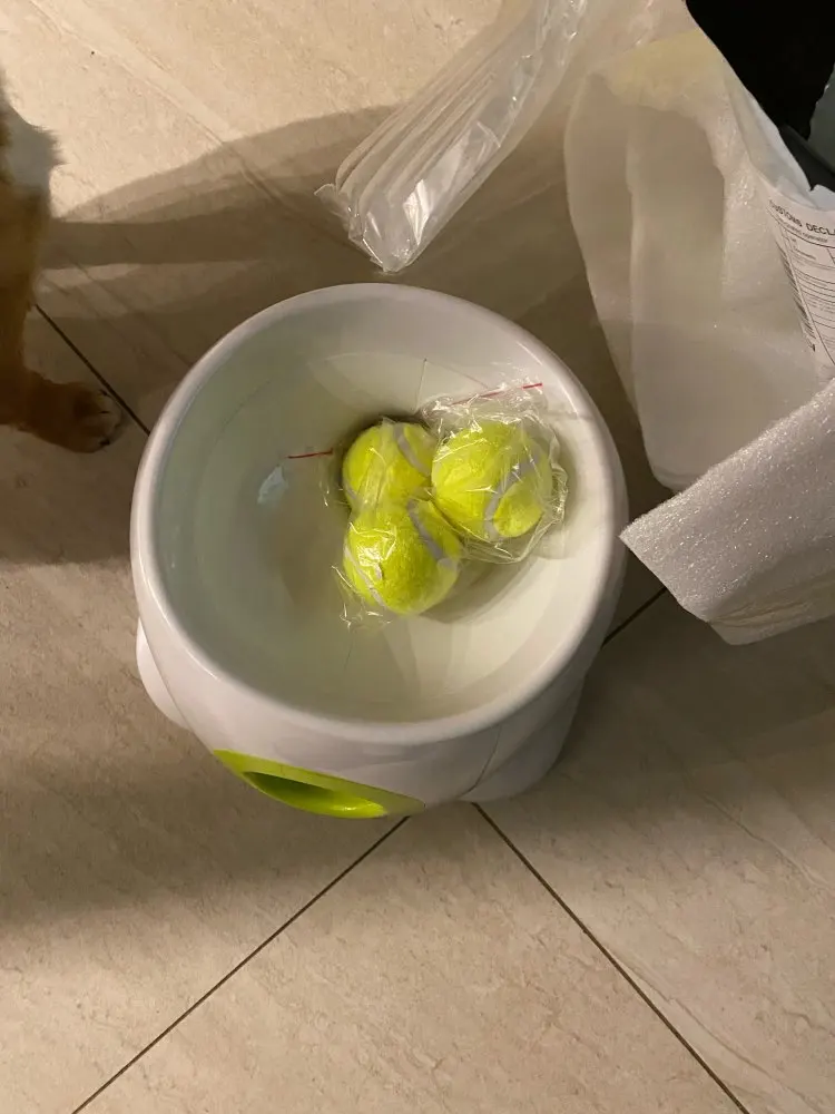 Fetchly Automatic Tennis Ball Launcher