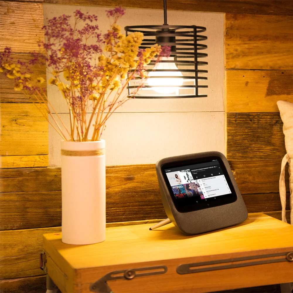 google home internet radio