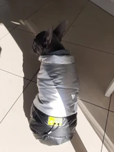 Coat Puppy Clothing Jacket Puppy-French-Bulldog Dogs Waterproof Chihuahua Winter Vest