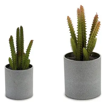 

Plant pot Cactus
