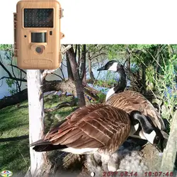 SG562-BW наблюдения за птицами камеры 12MP закрыть и далеко Двойной фокус фото ловушка для животных школы Обучение инструменты камеры для дикой