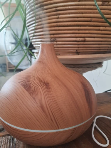 Electric Aroma Diffuser photo review
