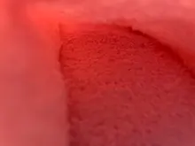 Zapatillas de oso de dibujos animados para mujer, chanclas antideslizantes, suaves, cálidas, para casa, General, para interior, dormitorio, hogar