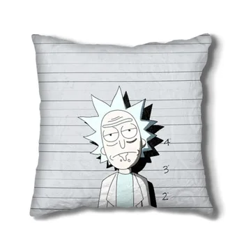 

Pillow 3D Rick is in prison