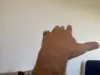 Изображение товара 3